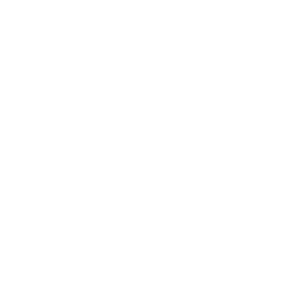 Car icon